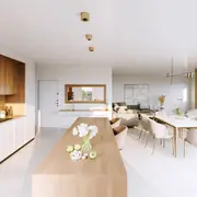 Cuisine intégrée ouverte sur séjour avec éléments contemporains.